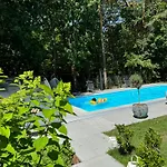 Joy Village فيلة